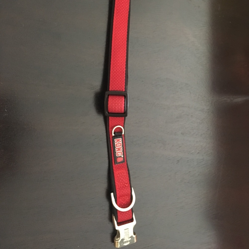 Kong Dog Collar (small) Red